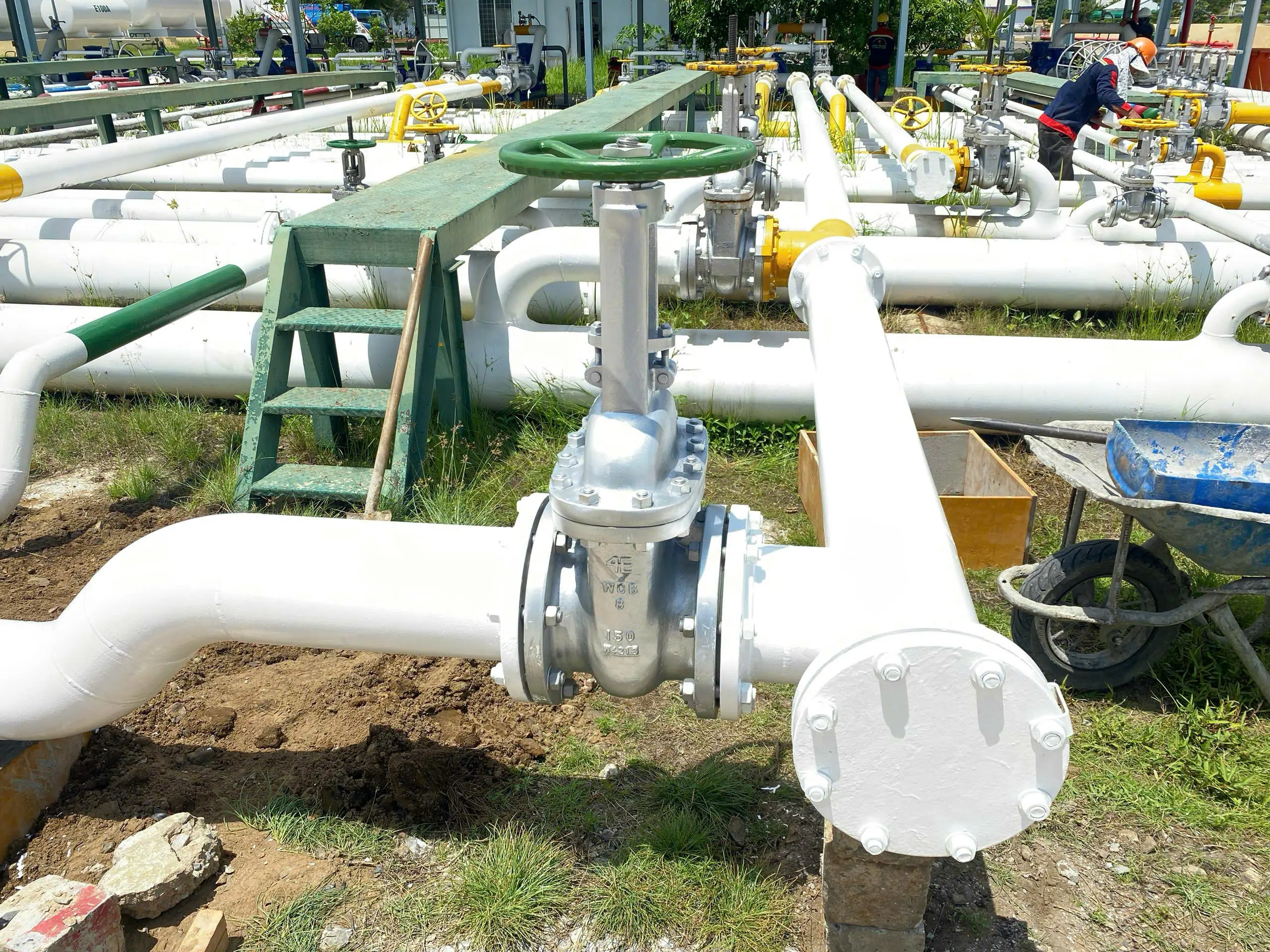 CHAU MINH LONG CO., LTD 