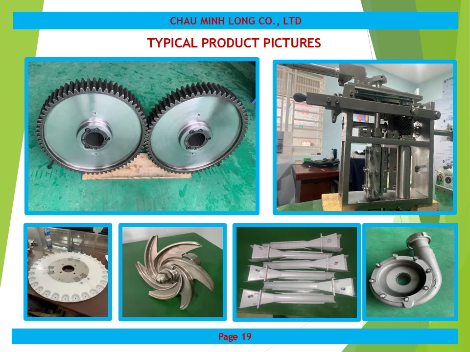 profile ch&acirc;u minh long 