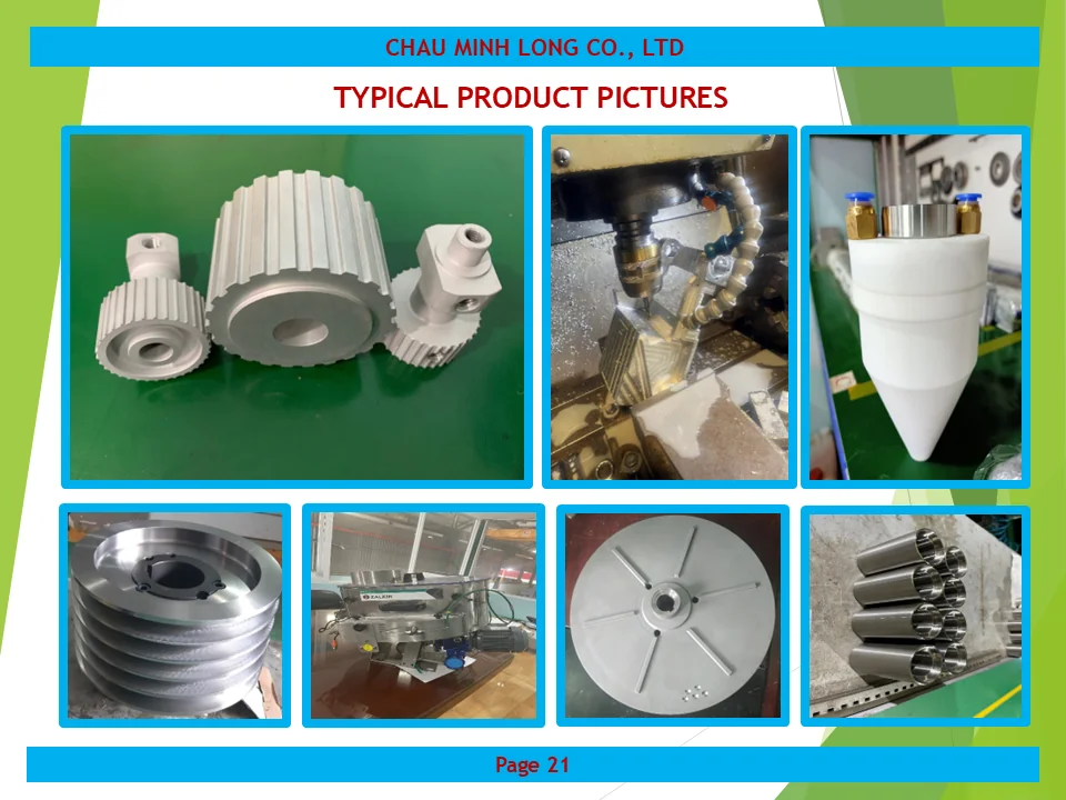 profile ch&acirc;u minh long 