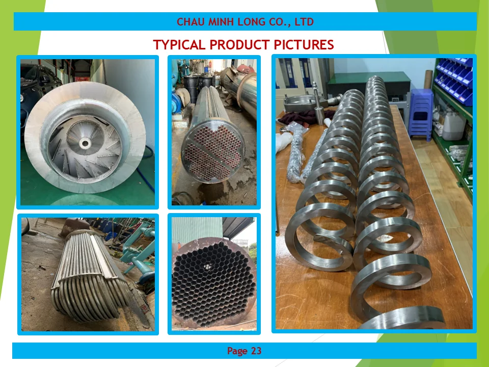 profile ch&acirc;u minh long 