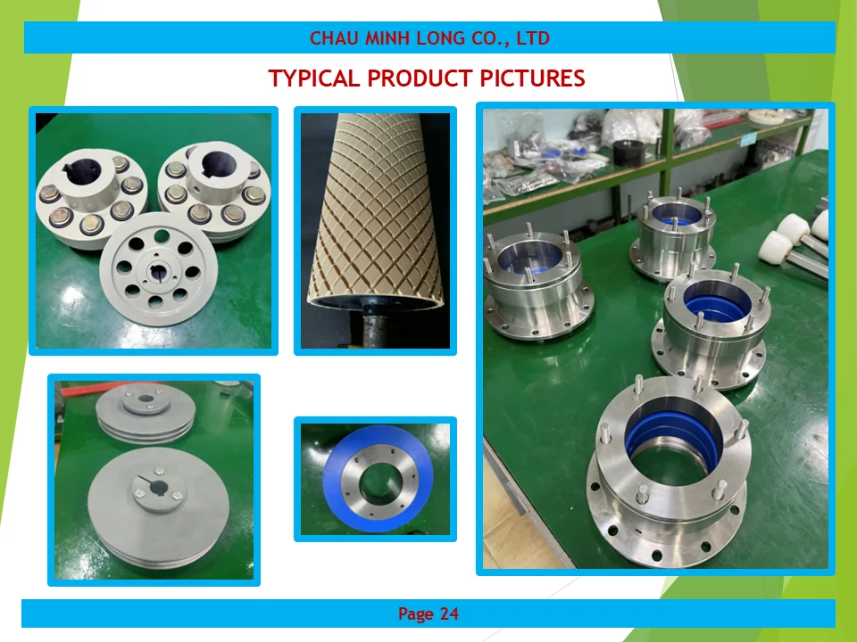 profile ch&acirc;u minh long 