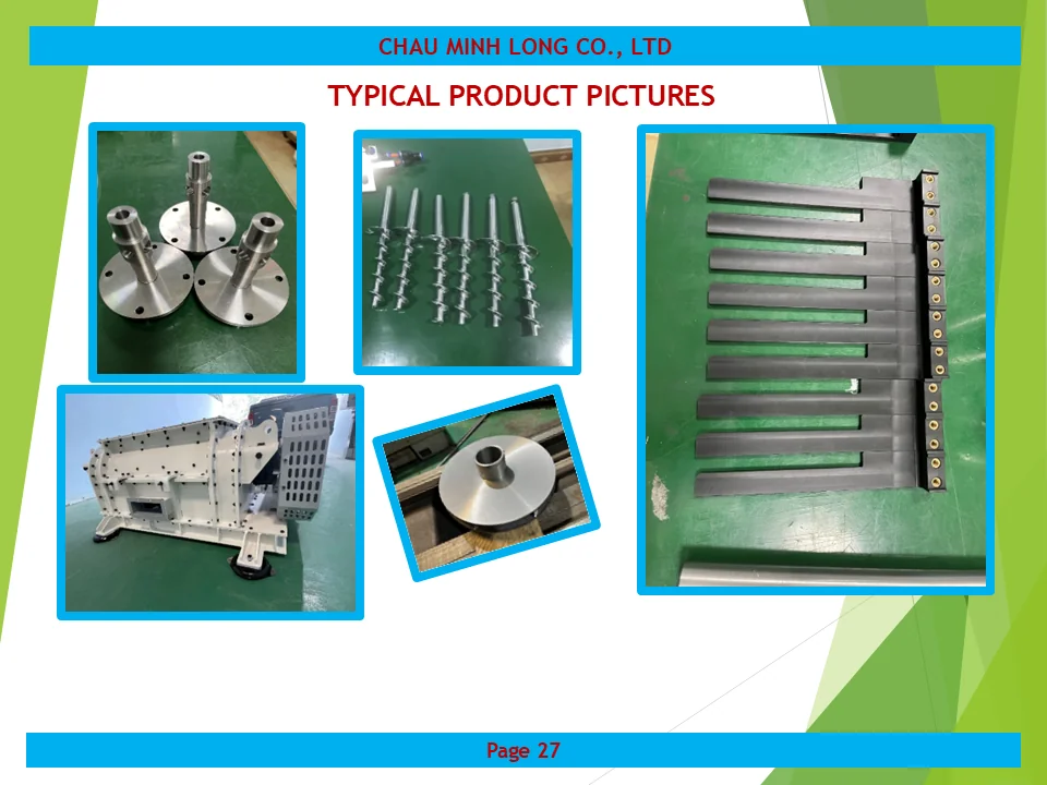 profile ch&acirc;u minh long 