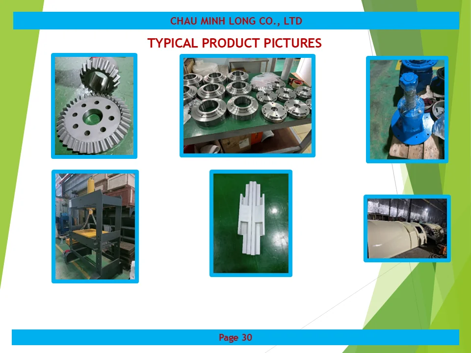 profile ch&acirc;u minh long 