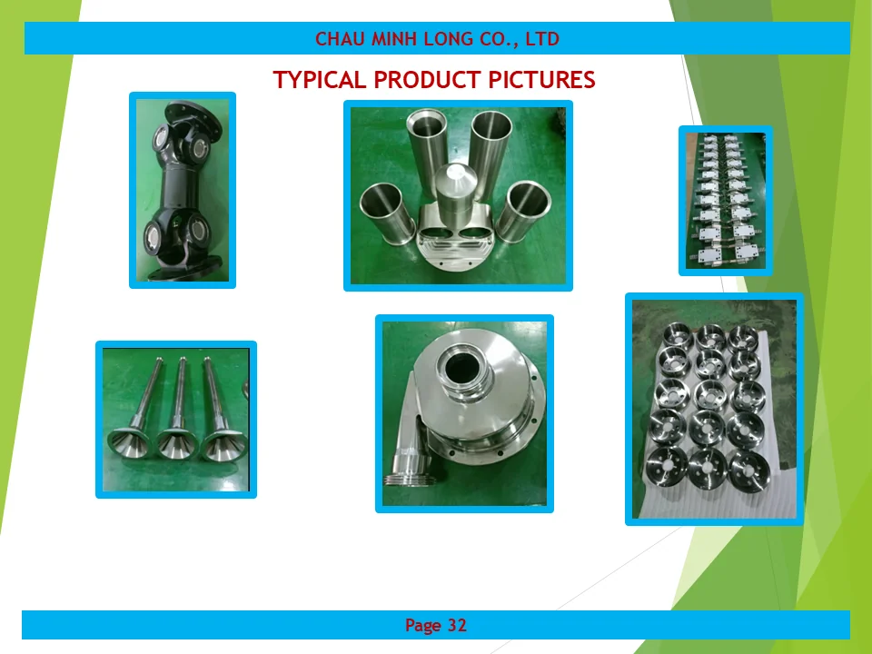 profile ch&acirc;u minh long 