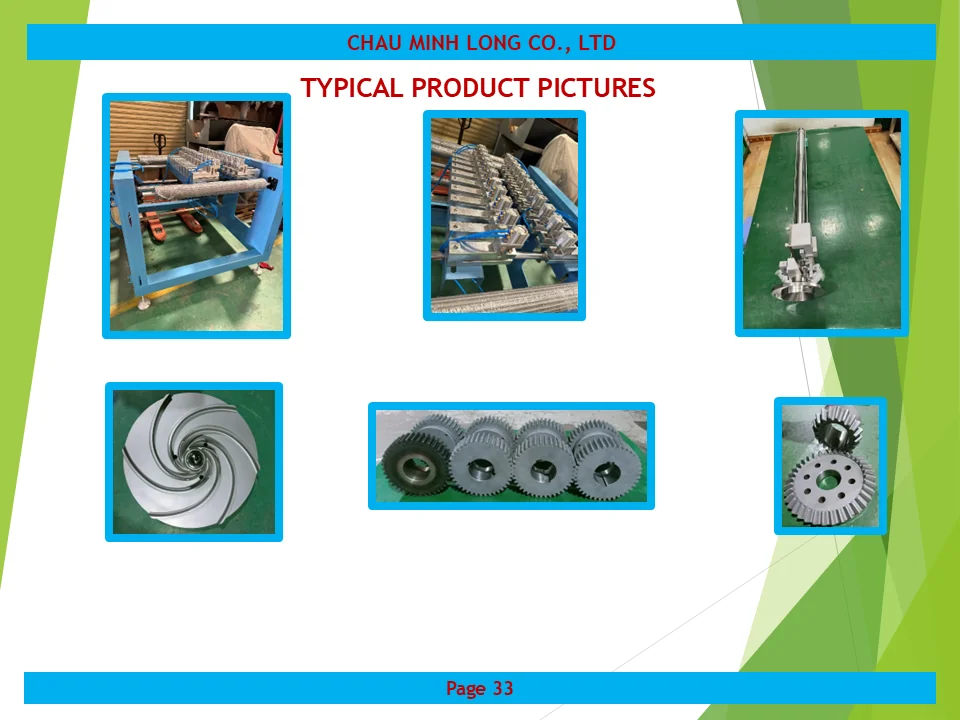 profile ch&acirc;u minh long 