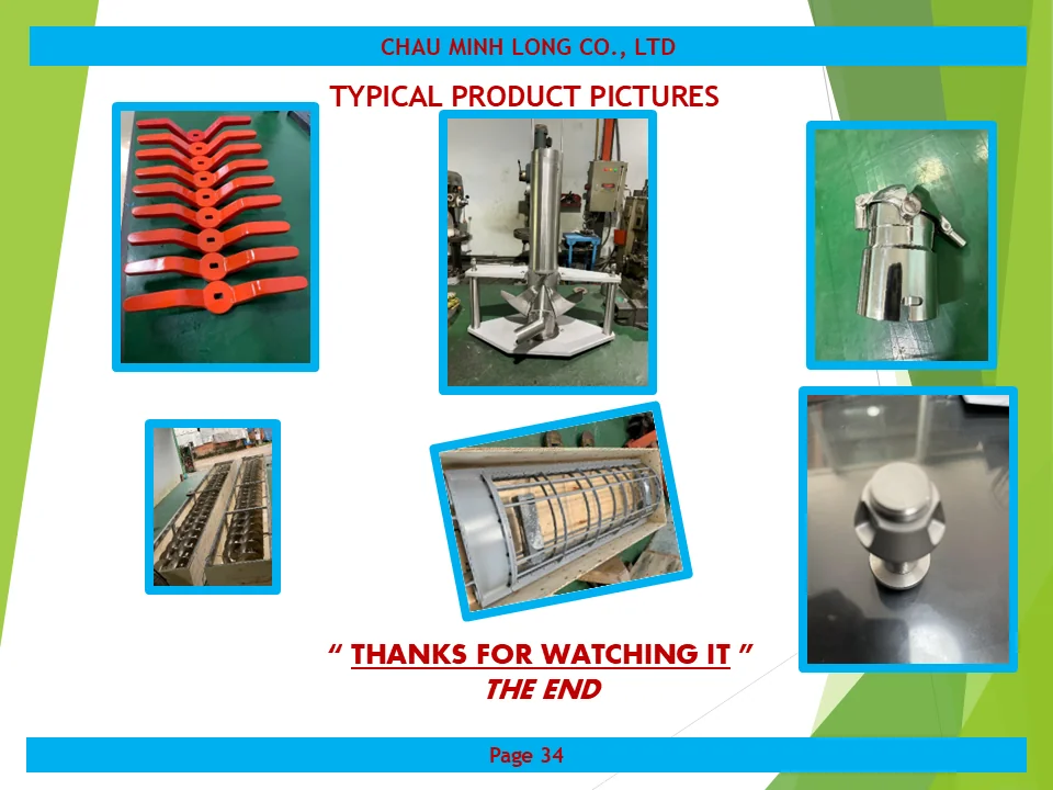 profile ch&acirc;u minh long 